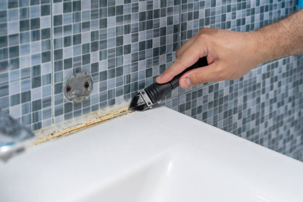 Trusted Idylwood, VA Mold Removal Experts