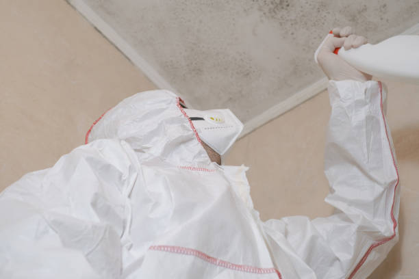 Best Crawl Space Mold Removal  in Idylwood, VA