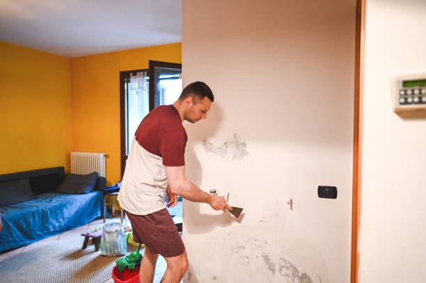 Best Water Damage Restoration  in Idylwood, VA